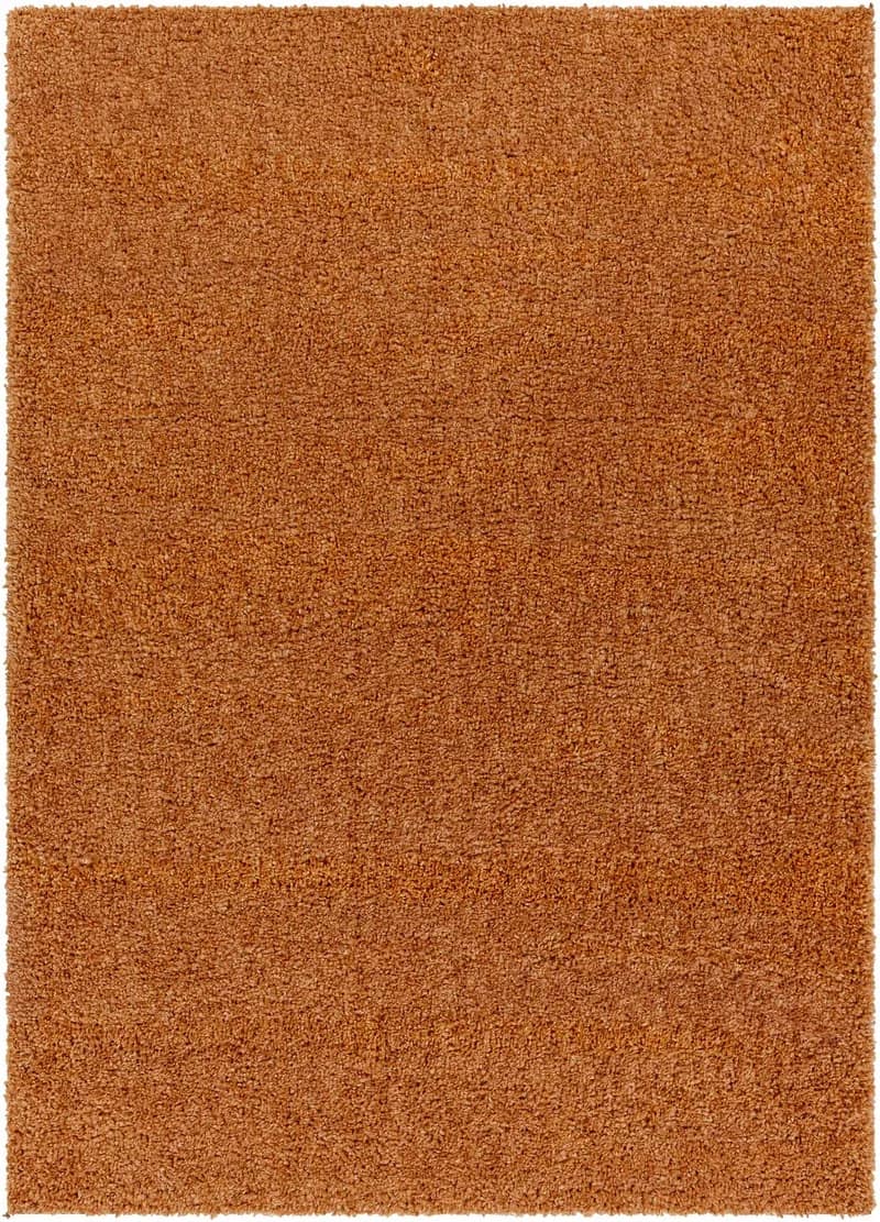 Earthy Brown Shag Area Rug
