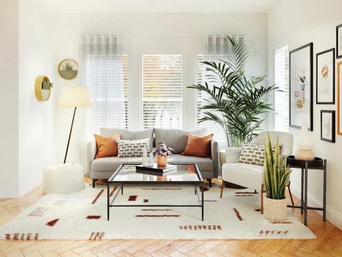 carpets and rugs for living room