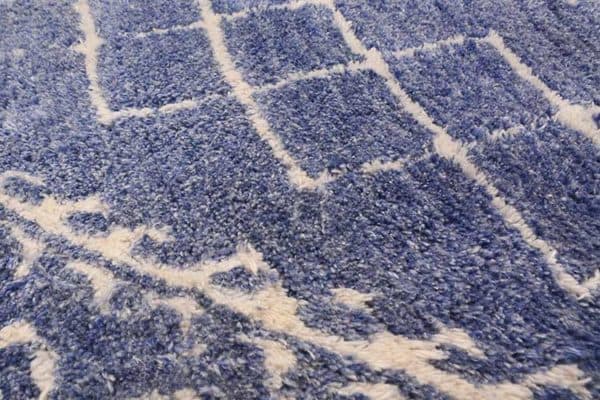 Dounia Handtufted Rug