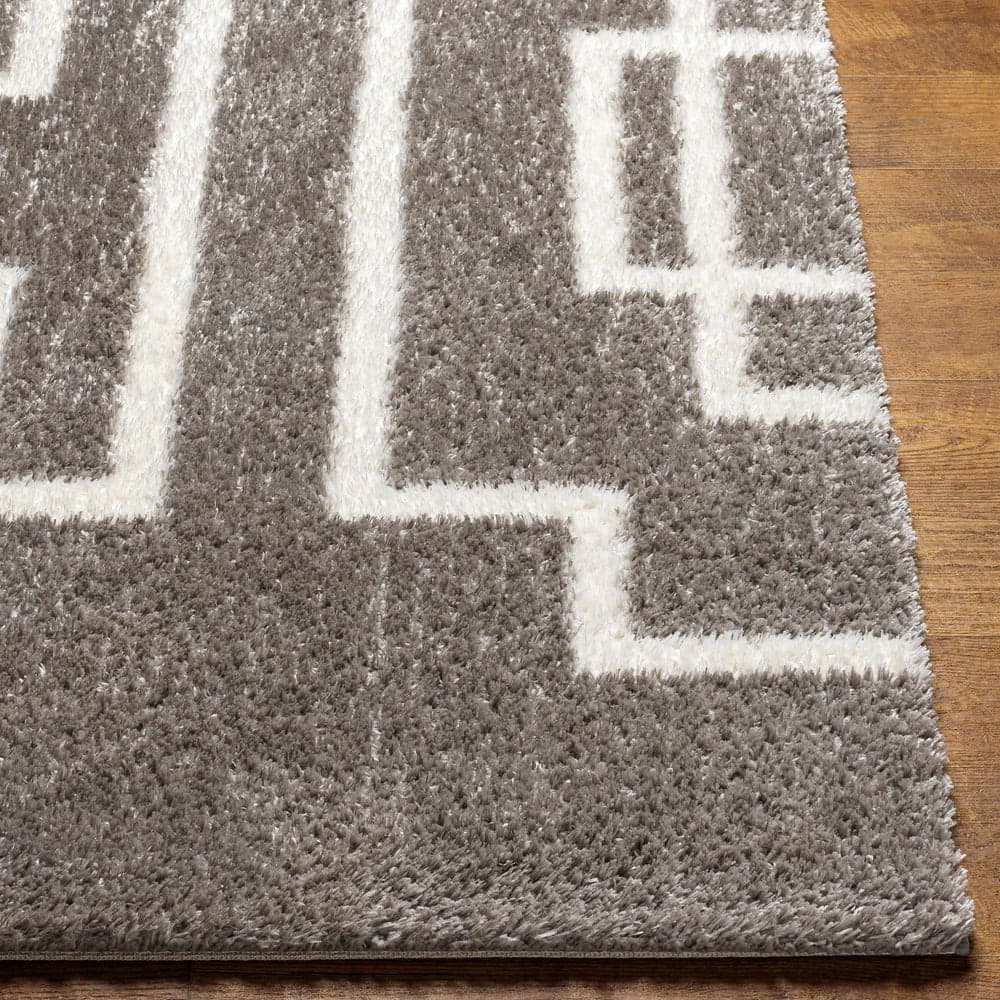 Echelon Striped Shag Area Rug