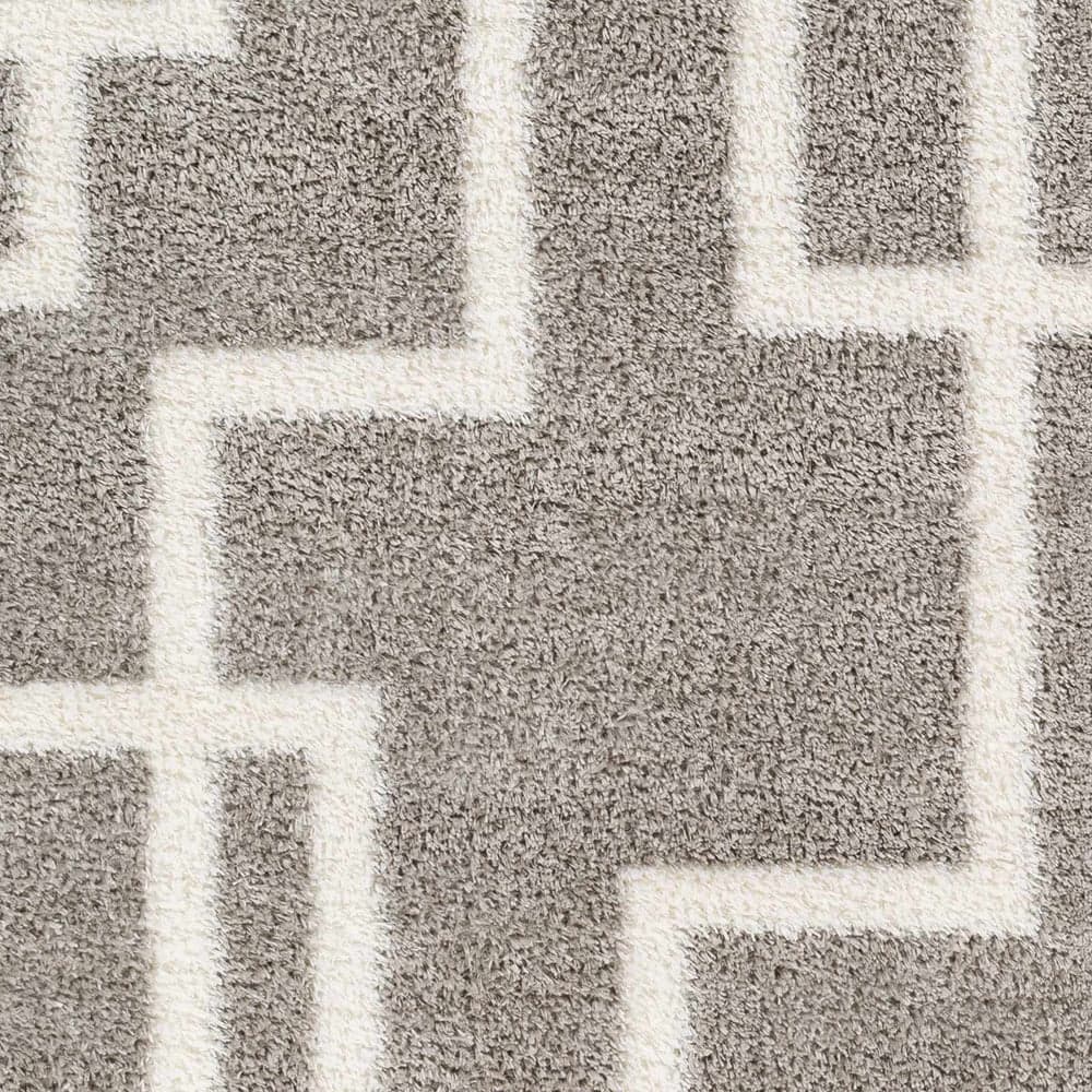 Echelon Striped Shag Area Rug