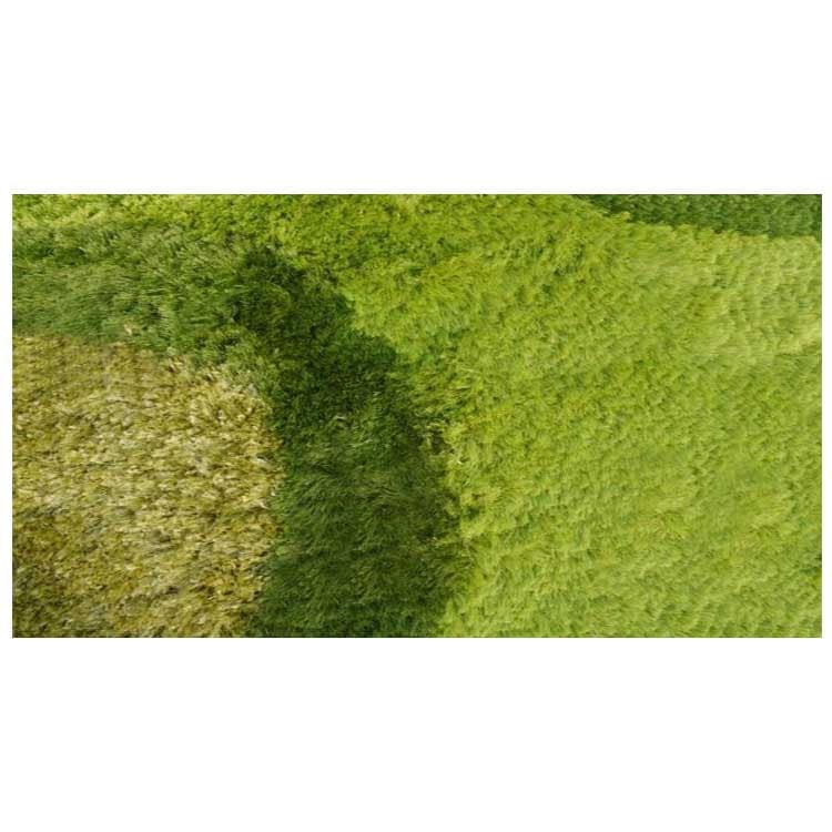 buy rugs online